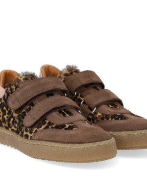 Angulus klittenband // Donker beige - Leopard